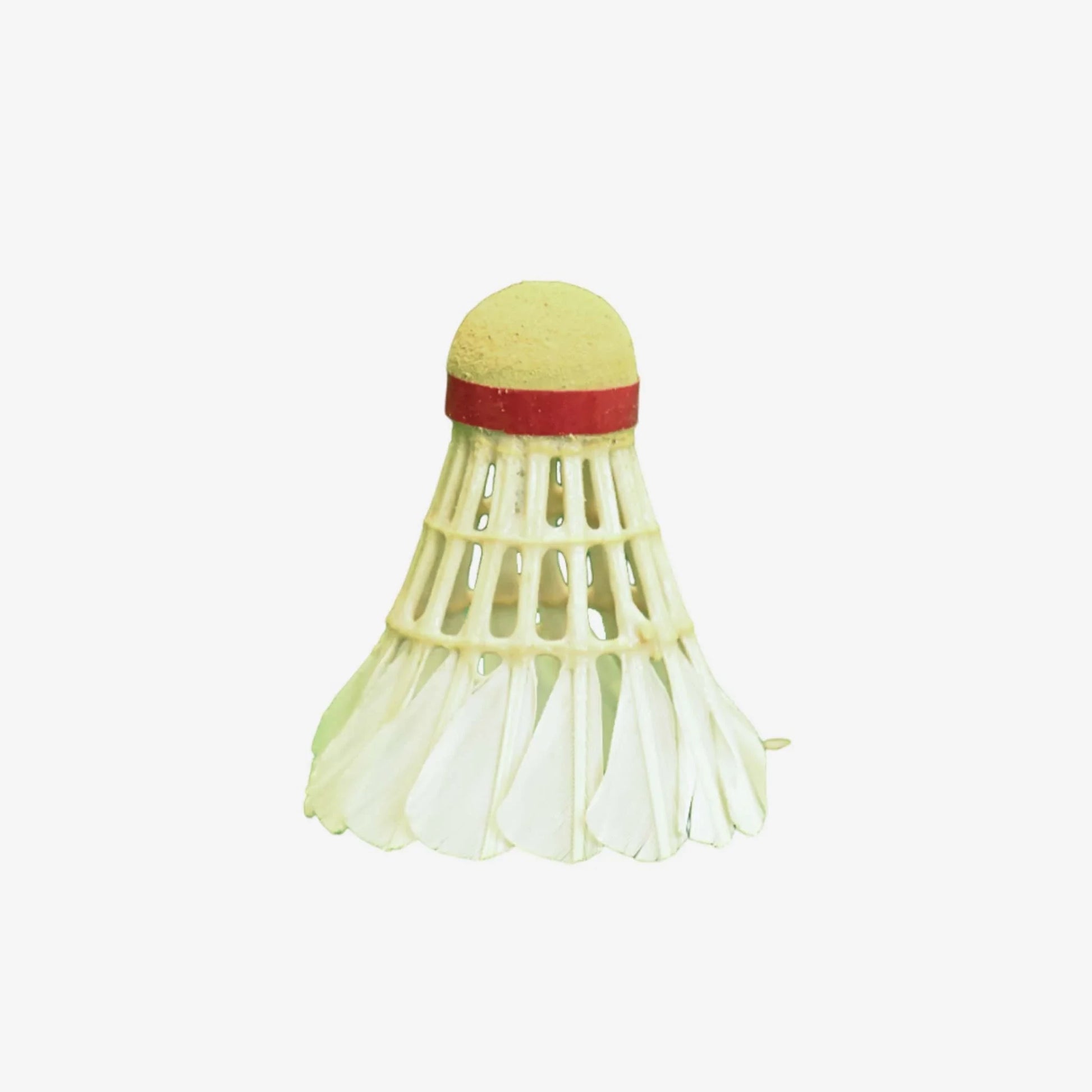 Durable Plastic Shuttlecocks - High-Performance Birdies for Badminton - Charm Trendify 